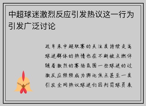 中超球迷激烈反应引发热议这一行为引发广泛讨论